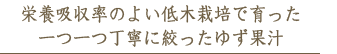 栄養吸収率のよい低木栽培で育った柚子を一つ一つ丁寧に絞ったゆず果汁